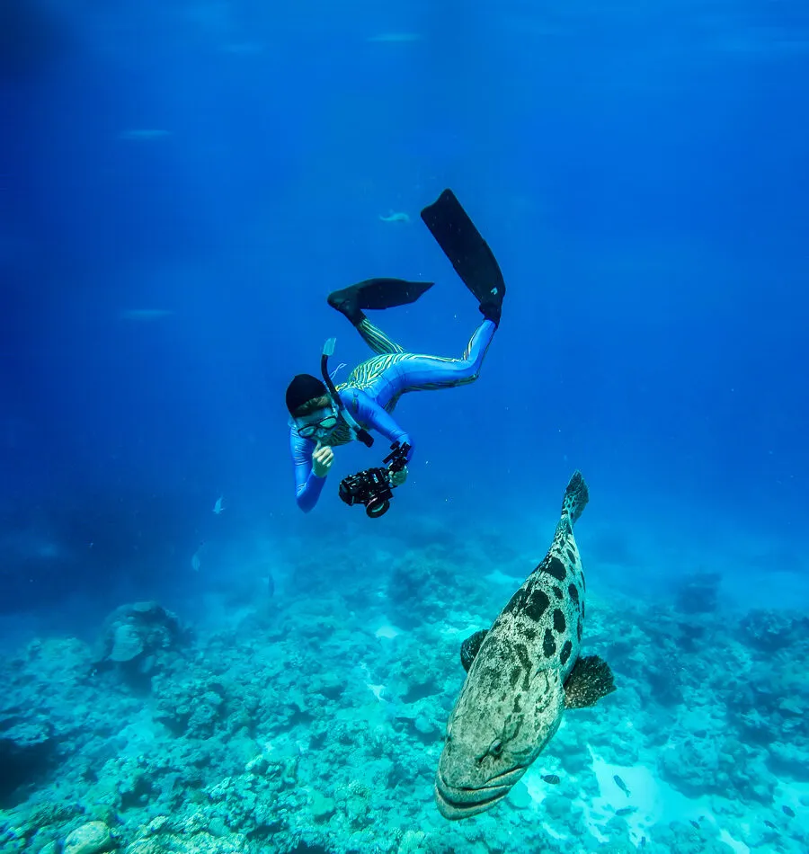 Experiencias Lizard Island